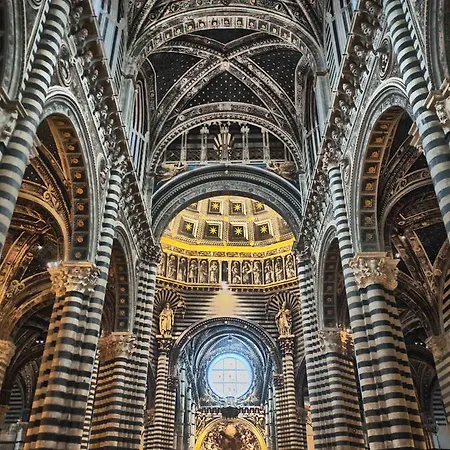 Gh Paradiso - Aparthotel 4*